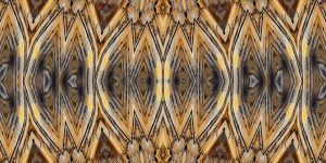 %22Abstracted%22 $165