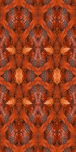 %22Crustacean%22 $165