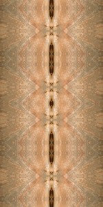 %22Fault Line%22 $165