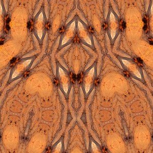 %22The Pause%22 $165