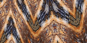 %22Vector Flow%22 $240