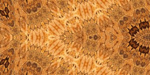 %22Vertibrate%22 $165